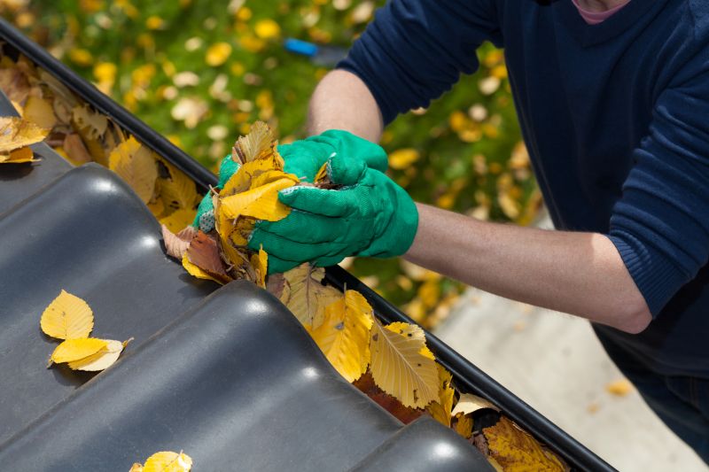 Gutter Replacement in Progress